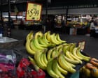 Australia's Banana Shortage Spreads as Cool Queensland Weather Hits Supplies