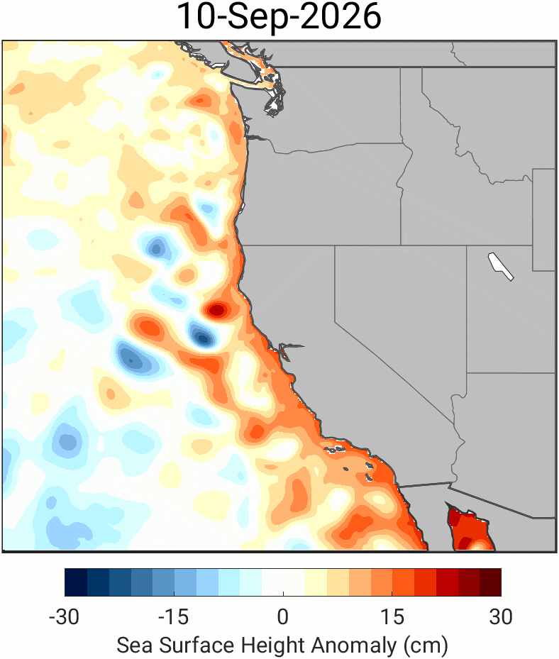 El Niño Kelvin Wave Lifts West Coast Sea Levels; Scientists Warn Repeat Is Coming