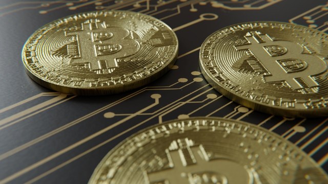 L'offre de Bitcoin en profit chute à 61 % alors que le prix stagne autour de 77 000 $
