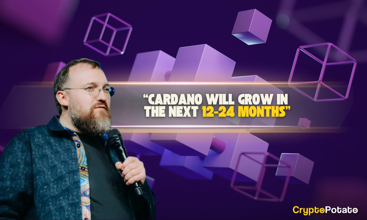 Hoskinson Compares Cardano's Path to Anthropic, Says Security Will Win Out