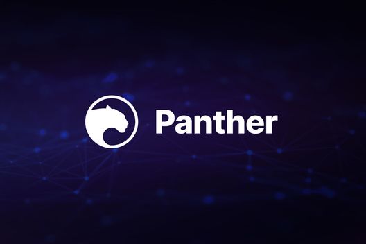 Panther Protocol Goes Live on Polygon With Privacy Infrastructure