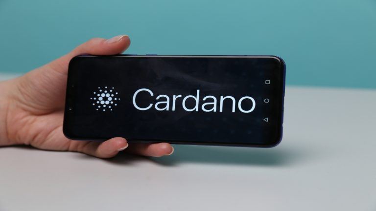 Draper University, Cardano Foundation Launch Web3 Accelerator in Silicon Valley