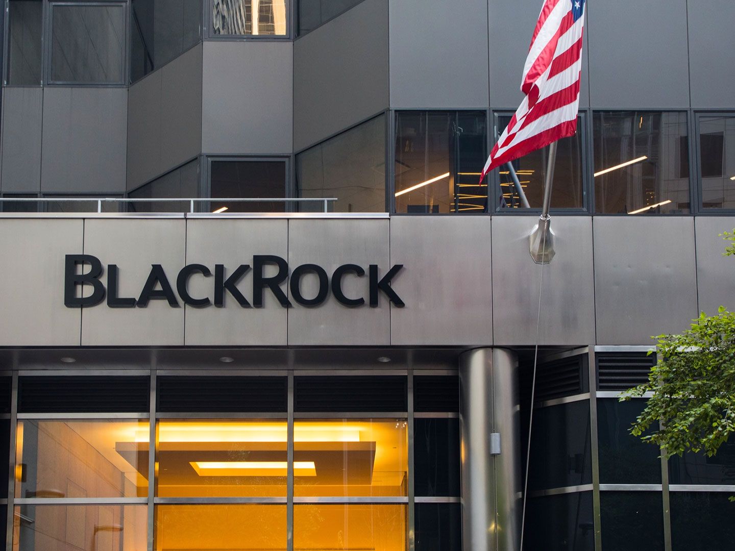 BlackRock Launches Tokenized Money Market Fund Access in Europe, Expands US Platform