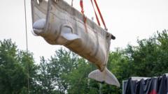 Beluga Whale Relocation Mirrors Crypto Whale Exodus: Large Holders Flee Centralized Custody