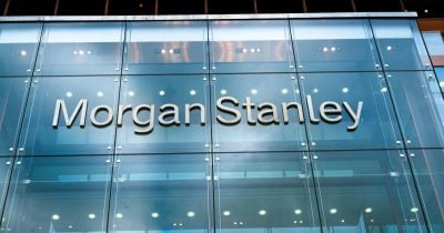Morgan Stanley Analyst Warns AI Adoption Could Stall on Infrastructure, Energy