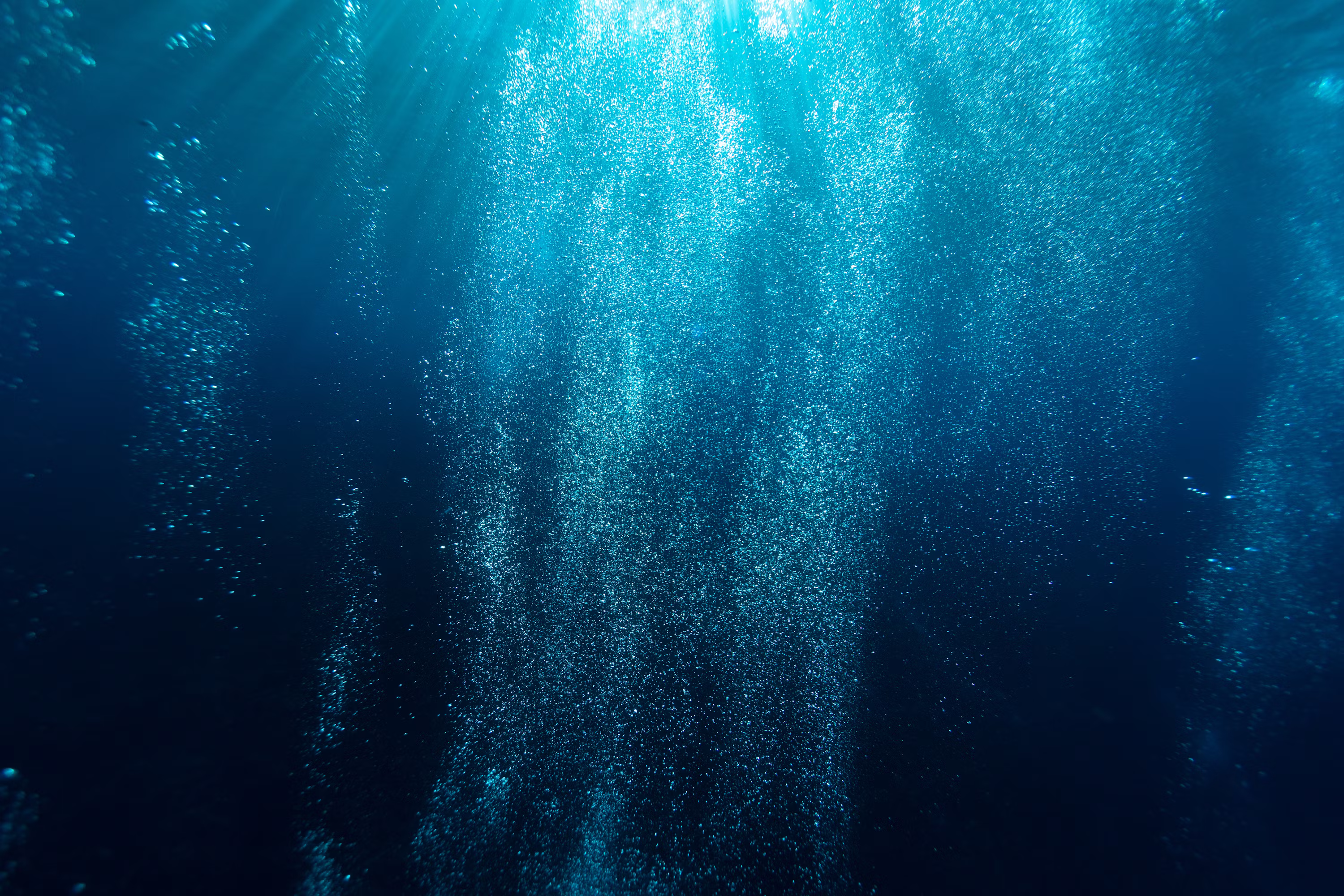Crypto Treasury Inflows Tumble to $180M in May, Down 95% From April