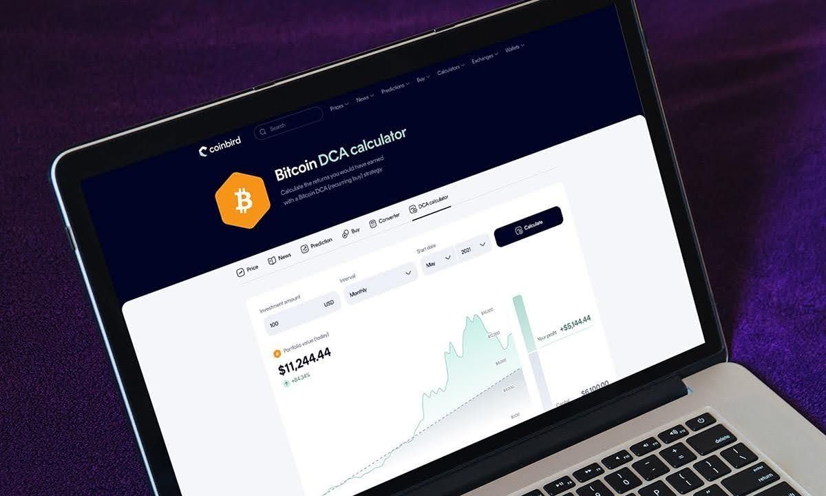 11-Year Bitcoin DCA Strategy Turns $13,700 Into $632,000, but Lump Sum Wins Short-Term