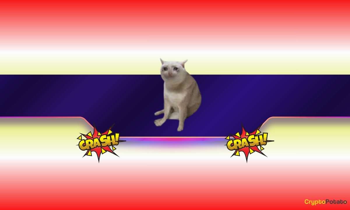 CASHCAT Token Crashes 65% After 2,000% Rally, Insider Trading Allegations Surface