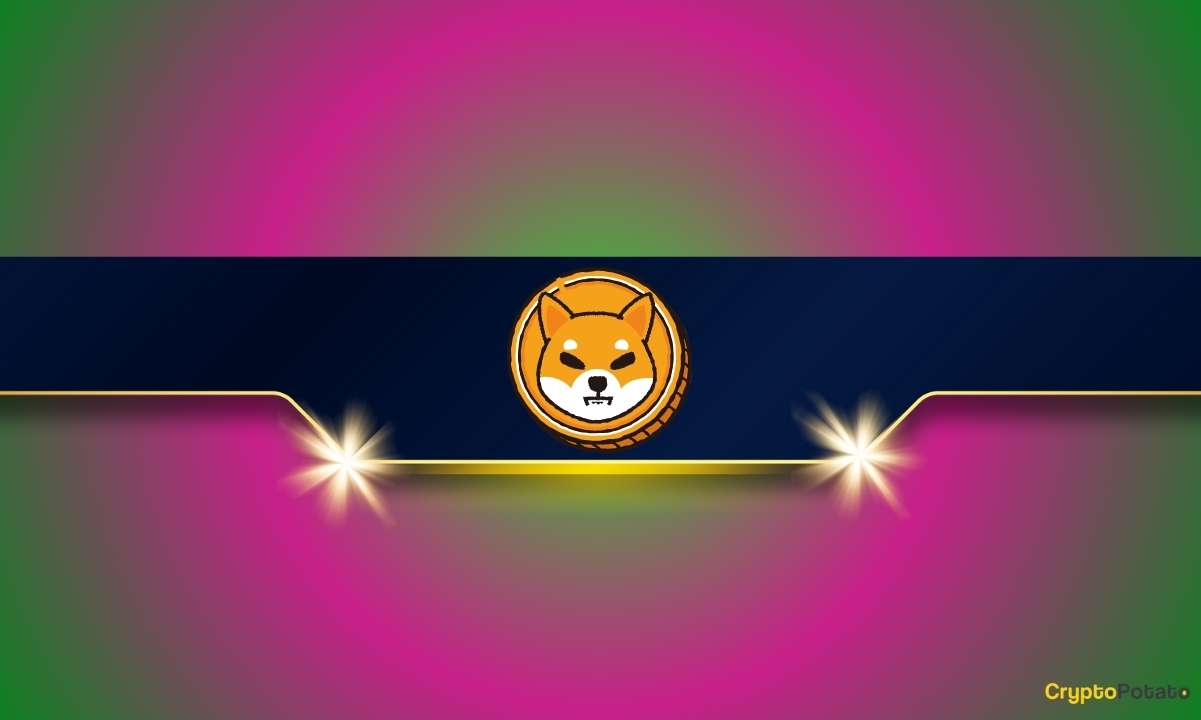 Shiba Inu's 1.7M Holders Mask Extreme Whale Concentration as Price Tanks 72%