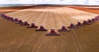 China Pledges $17 Billion in US Agricultural Purchases for 2026-2028