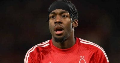 Elanga Goal Shifts Betting Dynamics in Sweden's World Cup Clash with Netherlands