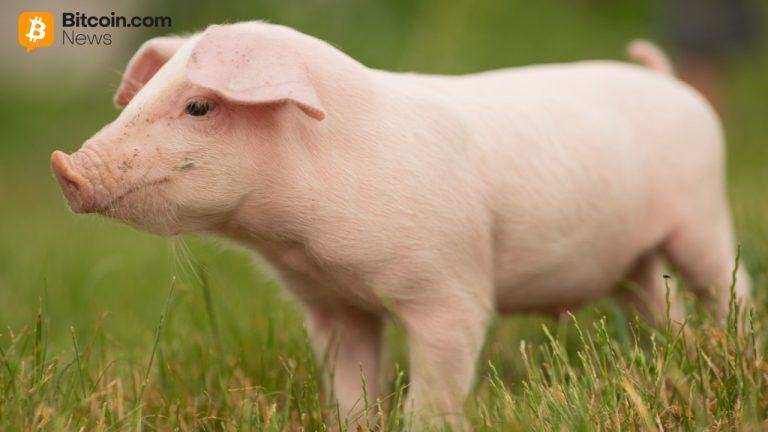 China Joins International Crackdown on Pig Butchering Scams, 276 Arrested