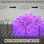 Plasma Treatment Study Sheds Light on Mixed Monolayer Doping for Ultrashallow Junctions