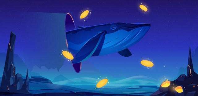 CryptoQuant Flags Whale Accumulation Signal as Bitcoin Tests $64K Support