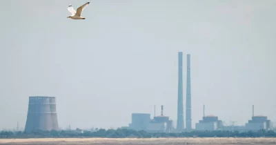 IAEA Brokers Local Ceasefire at Zaporizhzhia Nuclear Plant for Critical Repairs