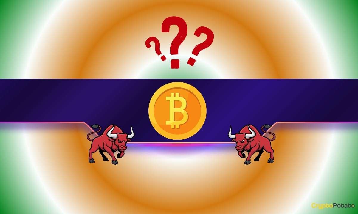 Bitcoin RSI Divergence Flashes Bullish Signal; Van de Poppe Calls It 'Phenomenal Opportunity'