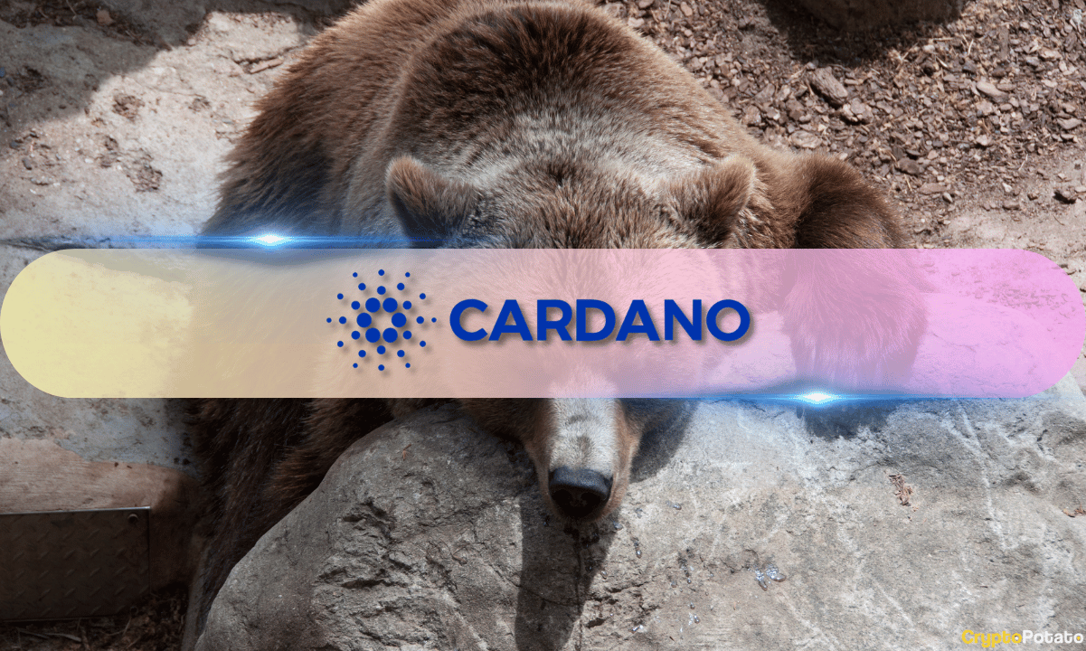 Cardano (ADA) Hits $0.195, Up 26% in a Week as On-Chain Metrics Show Accumulation