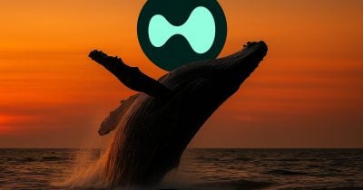 Whales Open $90K Long Positions on Hyperliquid's HYPE Token