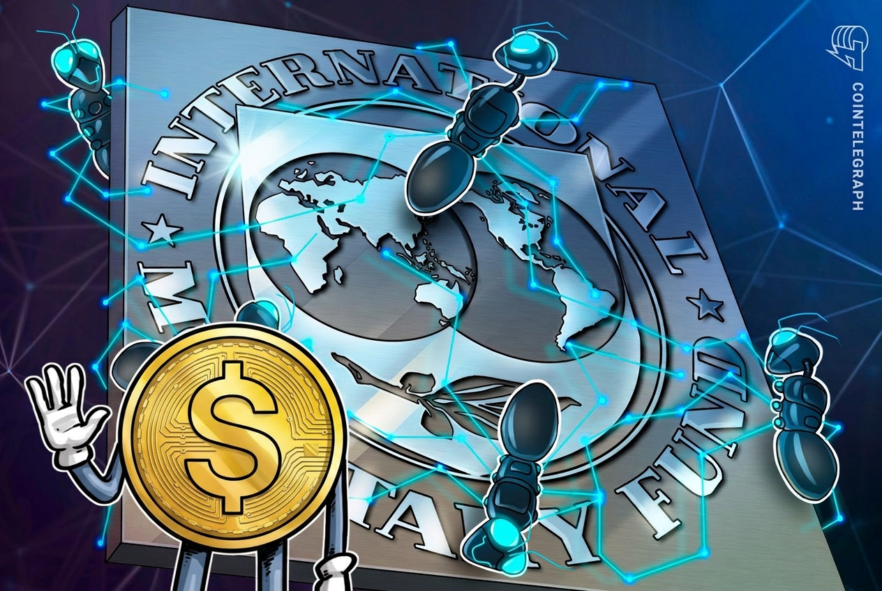 IMF Official: Digital Dollars' Liquidity, Network Effects, Cross-Border Appeal