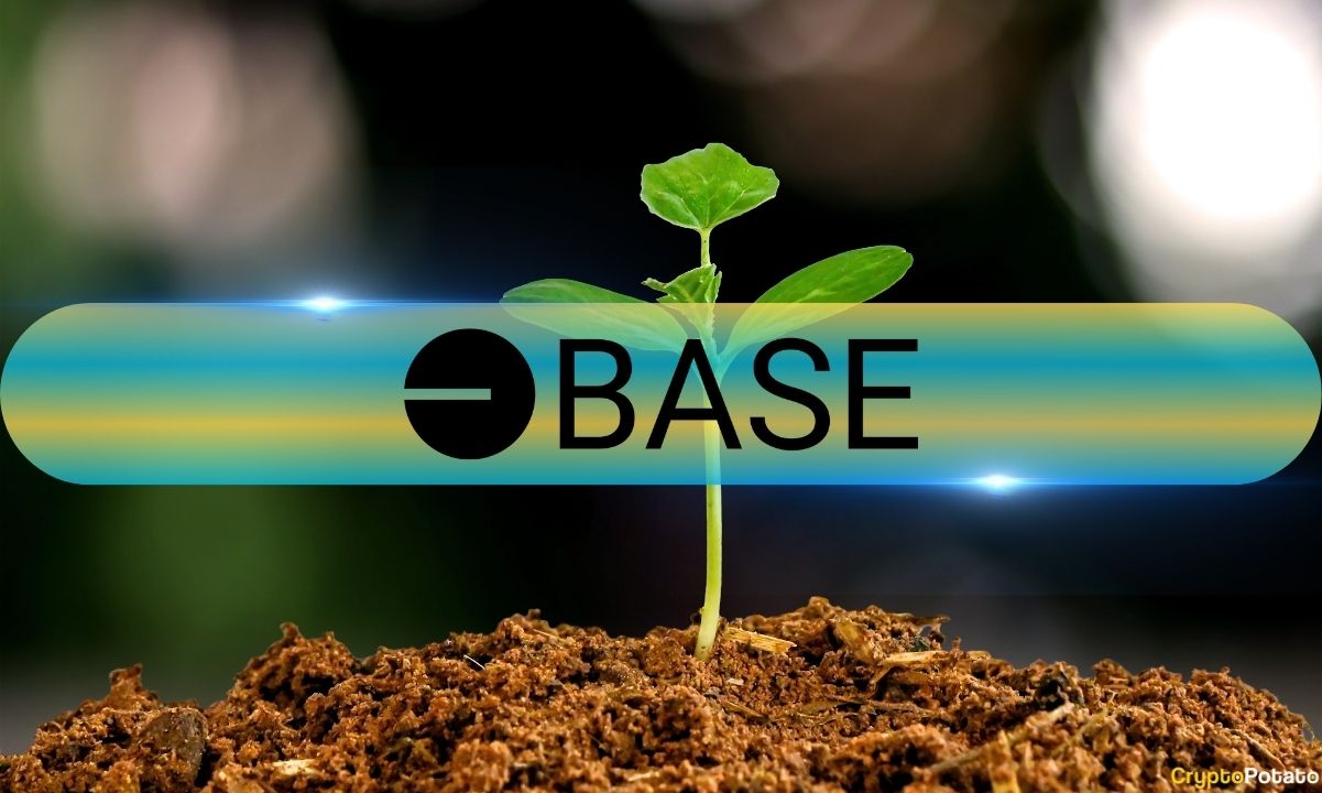 Base Overtakes Solana in Curated Capital, Now Second Only to Ethereum