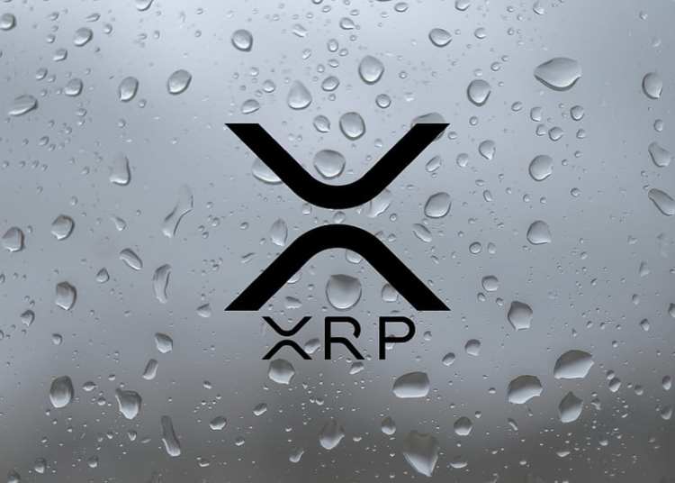 XRP Hits $1.42 as Tokenized Value on XRP Ledger Tops $3B — Pundit Sees $1,000 Potential