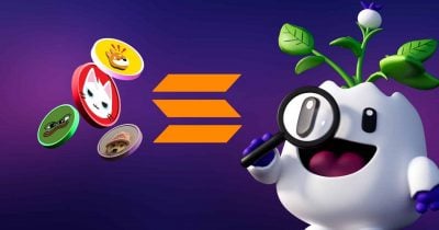 Solana Foundation President Calls Meme Coins a 'Production Test Net' for Network Stress Tests