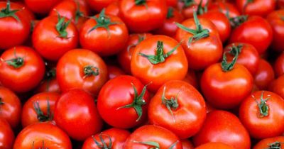 Tomato Prices Jump 32% as Canadian Grocery Inflation Surges