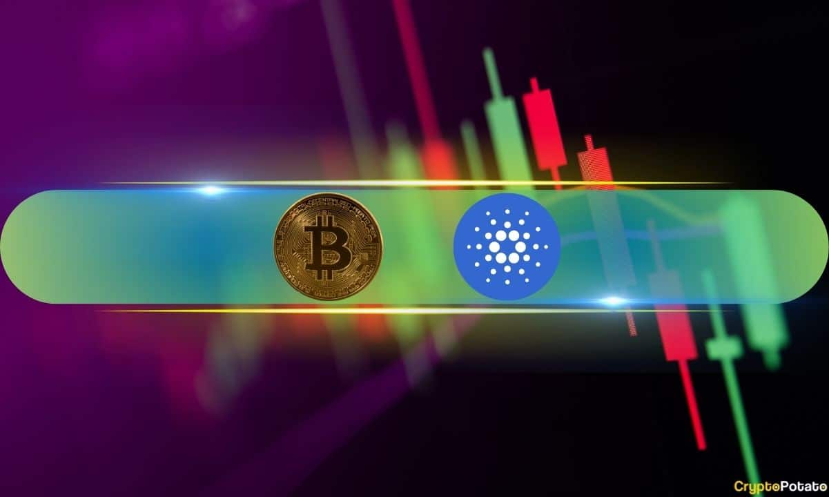 Bitcoin Bounces to $63.5K After Trump Calls Off Iran Strikes; Cardano Leads Altcoin Rally