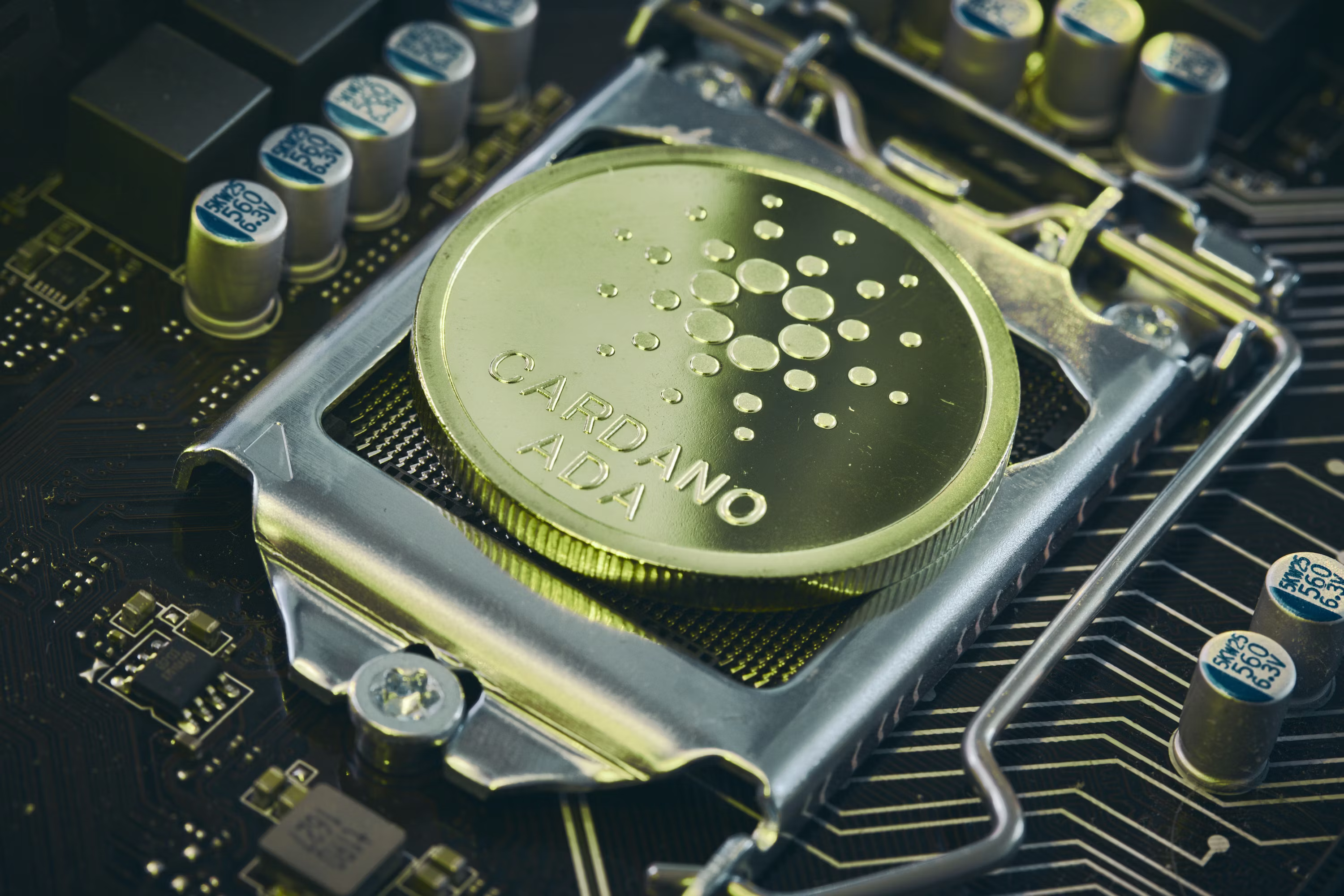 Cardano’s ADA Sinks to Five-Year Low Below $0.16 as Hoskinson Warns of Project Closures