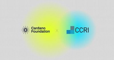 Cardano Foundation CTO Giorgio Zinetti Departs, Raising Questions About Technical Continuity