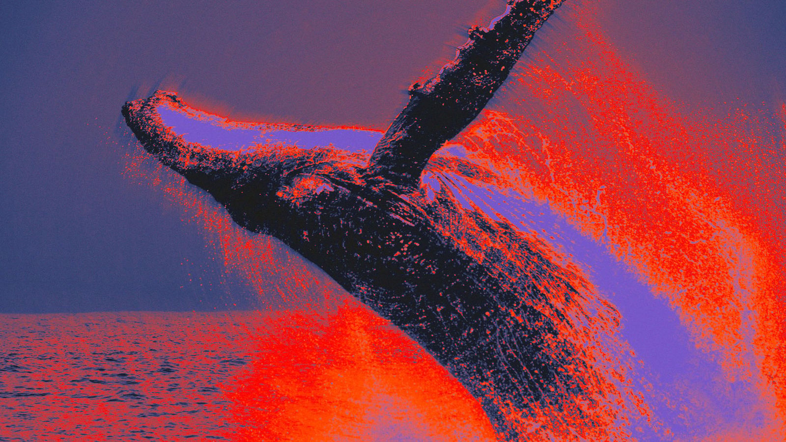 Dormant Bitcoin Whale Moves $378M After Six Years