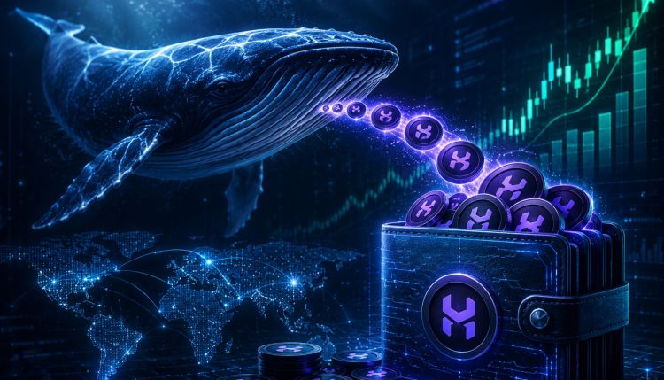a16z-Linked Wallet Accumulates $90.87M in HYPE Tokens During Crypto Downturn