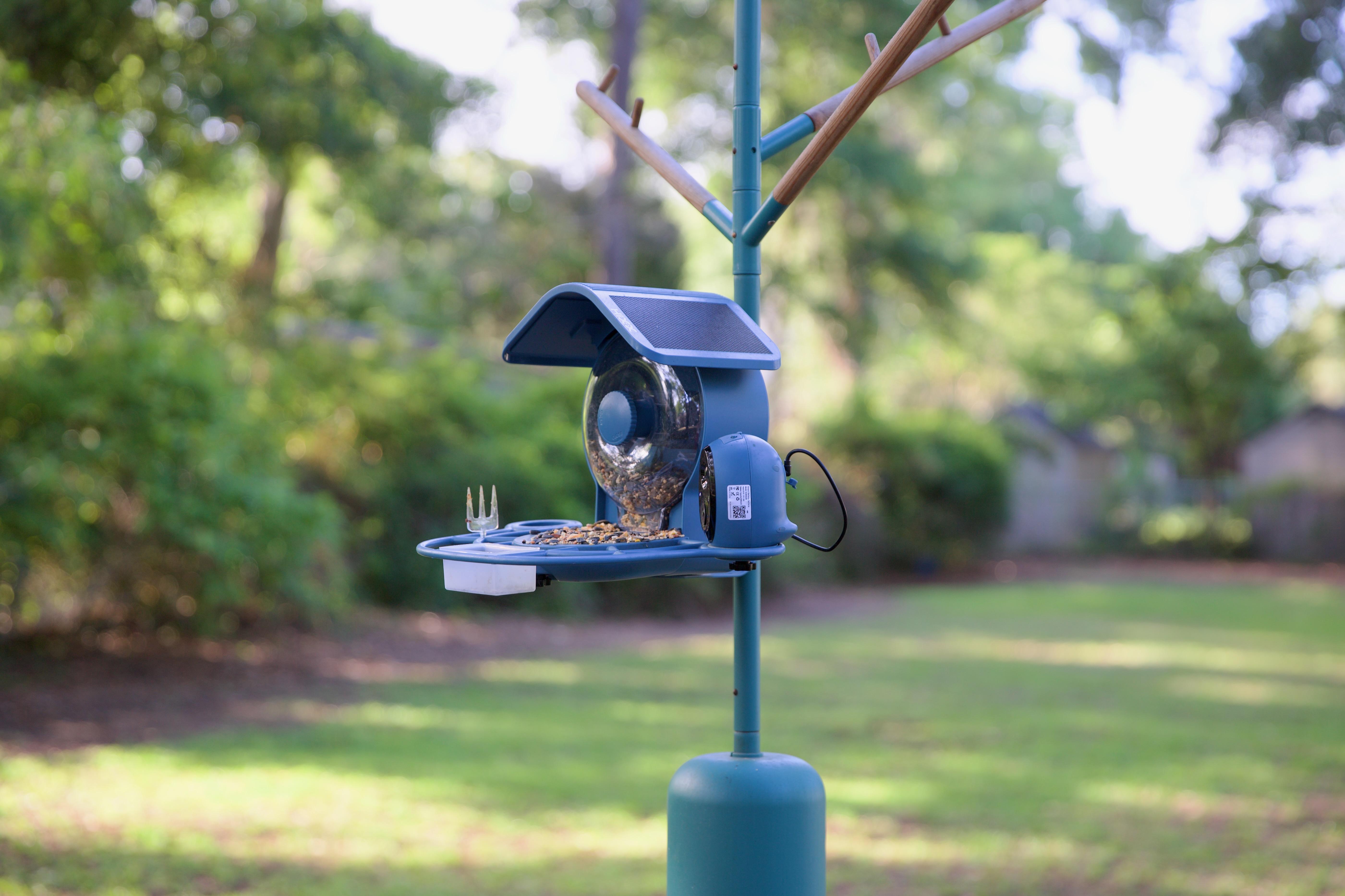 Extreme Fear Grips Crypto as BTC Stays at $66,993; Bird Feeder Tale Highlights Market Distractions