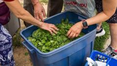 Cyclospora Outbreak's Debilitating Symptom Could Push Traders to Automated Crypto Tools
