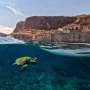 Governments Miss Biodiversity Targets Ahead of U.N. Summit, Nations Brace for Poor Report Card