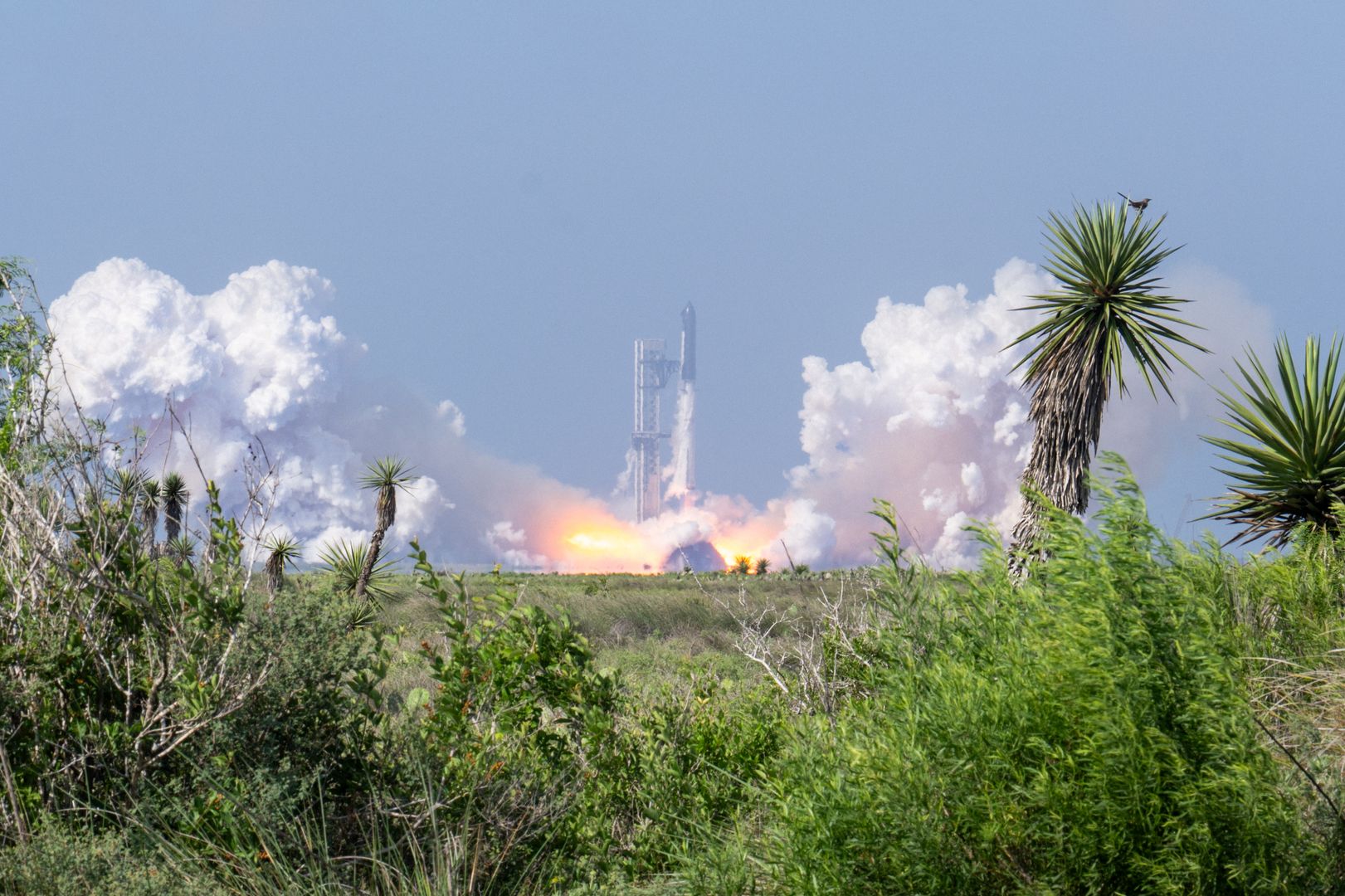 SpaceX Targets $75B IPO, Holds $1.29B in Bitcoin