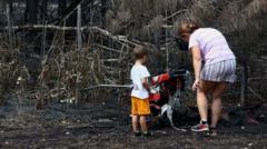French Wildfires Detonate WWII Bombs, Crypto's Dormant Wallets Lurk Beneath