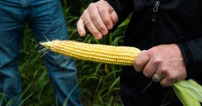 US Slaps New Tariffs on Wood, Machinery, and Corn Ethanol