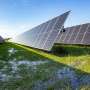 Peatland Solar Study Shows Bird Habitats, But Crypto's ESG Questions Linger