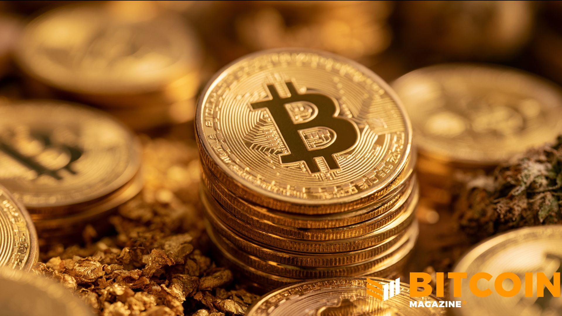 Edelman Financial Engines Discloses $34M Spot Bitcoin ETF Position, Bigger Than Its Amazon Stake