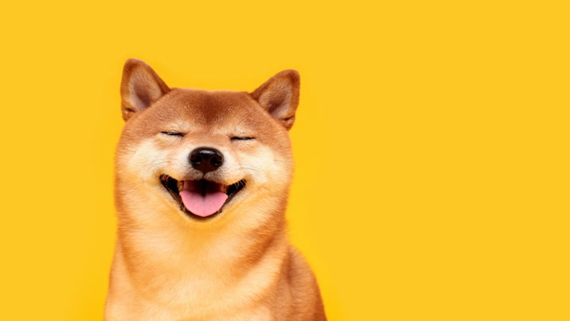 Dogecoin Surges as Futures Open Interest Hits Yearly High