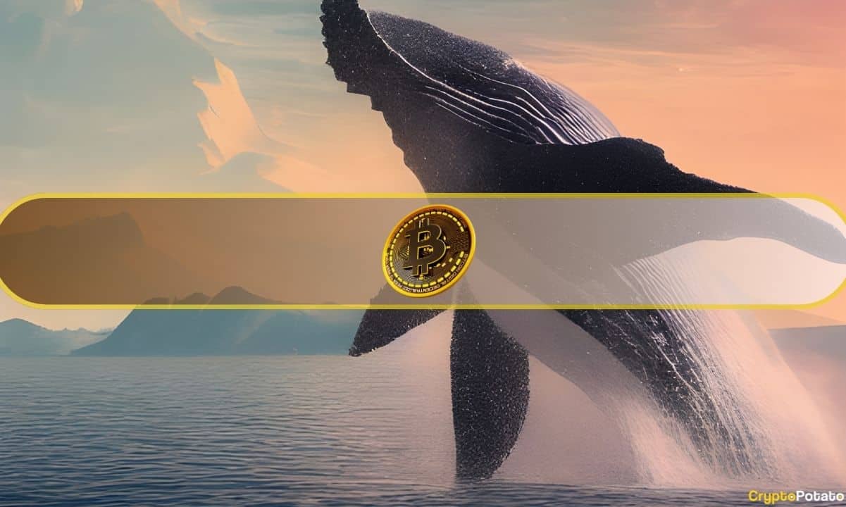 Coldcard Hack Drains $130M in Bitcoin, Triggers Spike in On-Chain Activity
