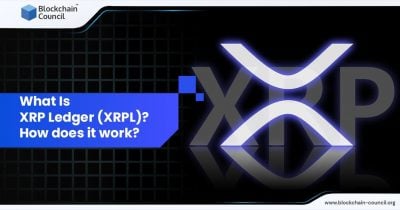 XRP Ledger Adds 490,000 New Accounts in First Half of 2026