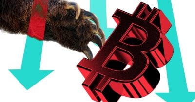 Bitcoin's 49% Bear Market Is the Mildest on Record, Data Shows