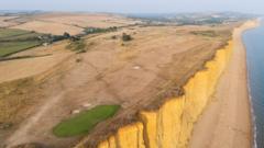 UK Farmers' Union Chief Urges Government Action on Drought-Linked Food Shortages