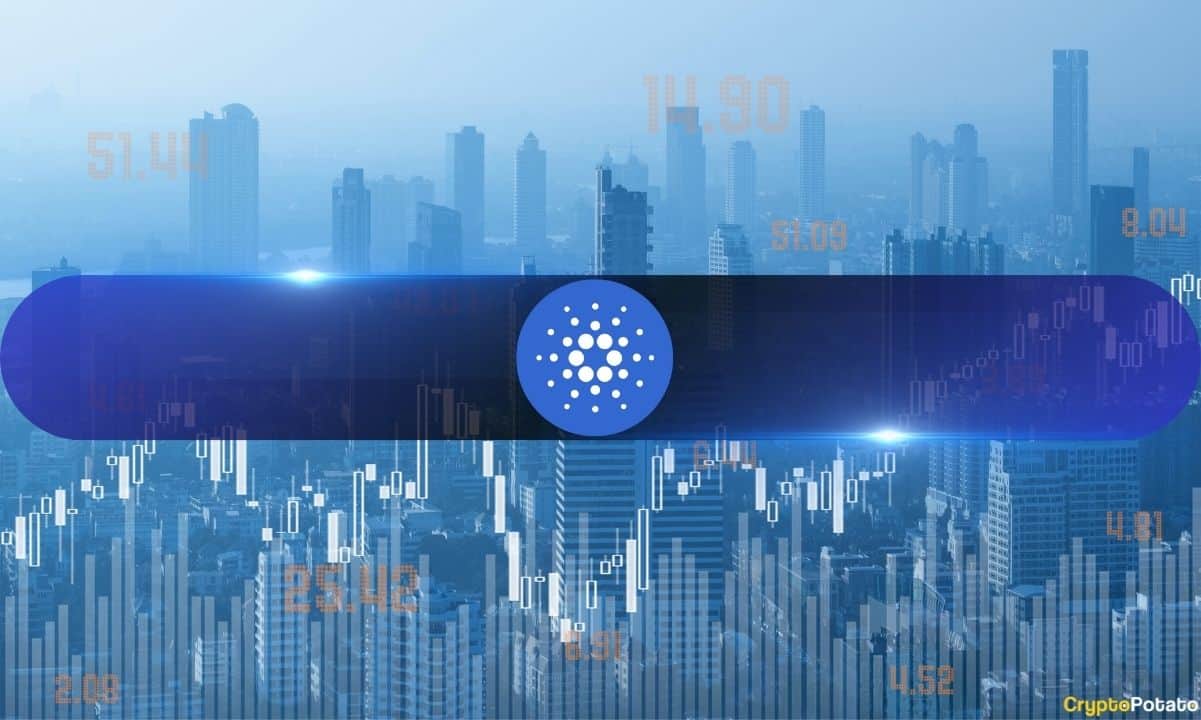 Cardano Whales Accumulate at Fastest Pace in 2.5 Years as ADA Bounces 4%