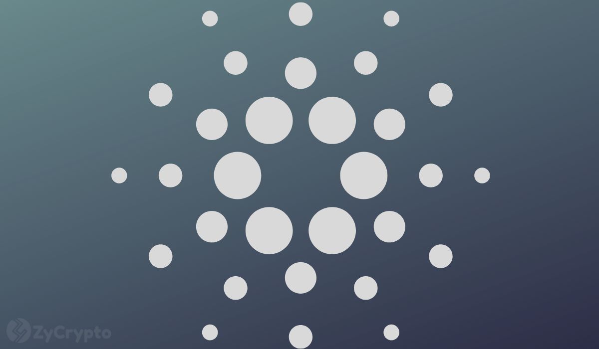 Whales Now Control Nearly 69% of Cardano Supply as ADA Price Sheds 70%