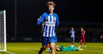 Leicester City Sign Harry Howell on Season-Long Loan from Brighton