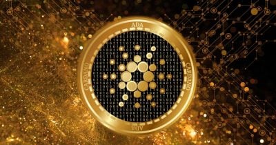 Whale Accumulation of 240M ADA Tokens Drives 22% Price Surge