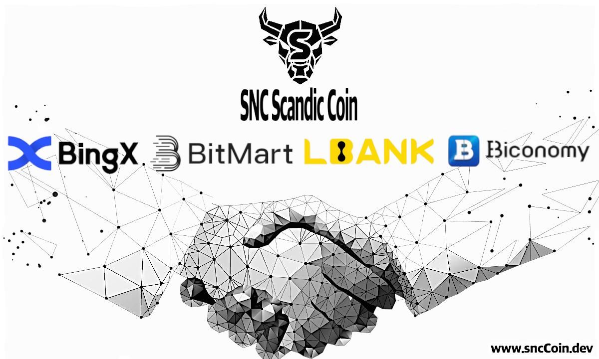 Scandic Finance Group Launches SNC Coin on Four Exchanges, Backed by Clay Mine and Jet Charter Fleet